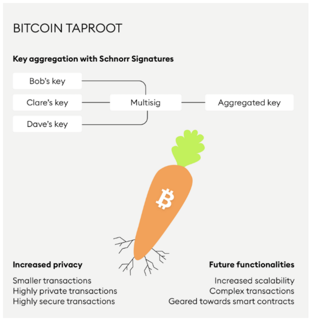 Bitcoin Taproot 