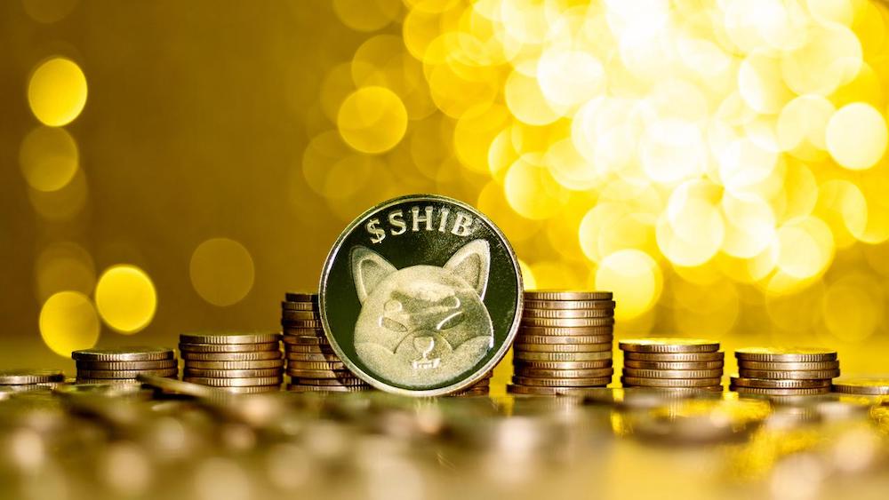 Shiba Inu Coin 