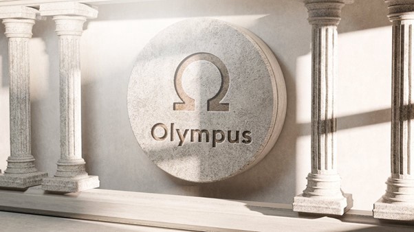 Understanding (3,3) – Is OlympusDAO The Future Of Cryptocurrency, Or Just Another Ponzi?