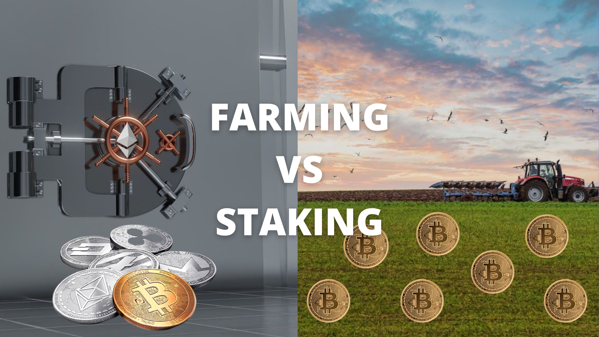 FARMING VS STAKING