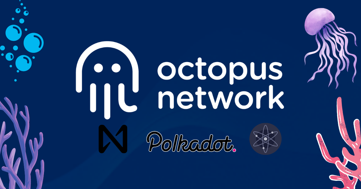 OCTOPUS NETWORK