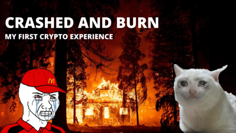 crypto crash and burn