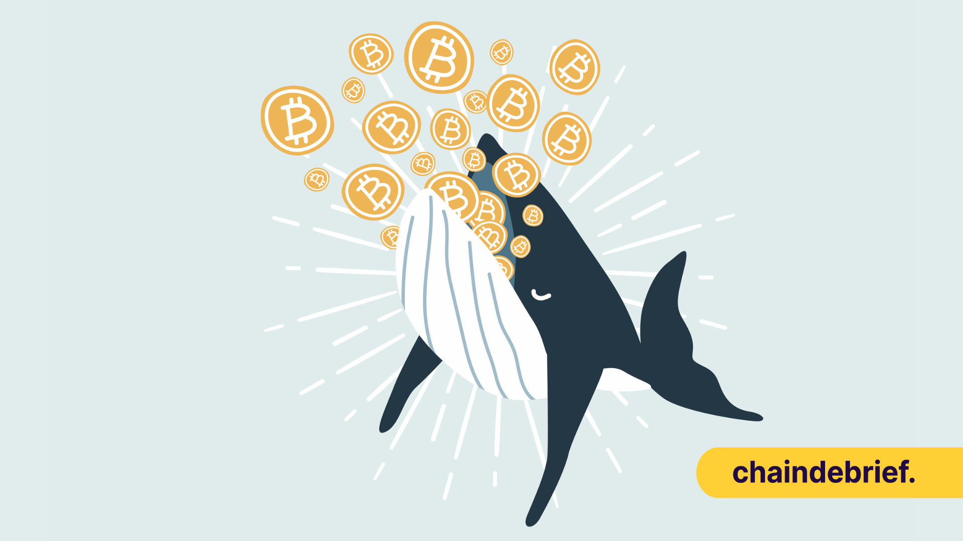 Here’s What Whales Are Investing With Their Multi-Million Crypto Portfolios